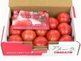 アメーラ(フルーツトマト)　静岡県産他　約1kg